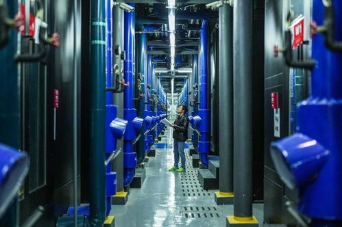 东数西算 国家数据局统筹，提升中国整体算力水平